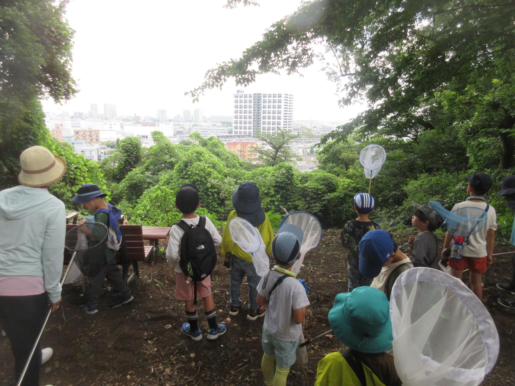 子どもたちが町を見渡す様子。