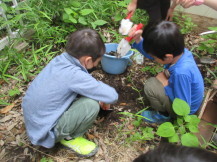 土を掘る様子をしゃがんで見ている2人の男の子の写真