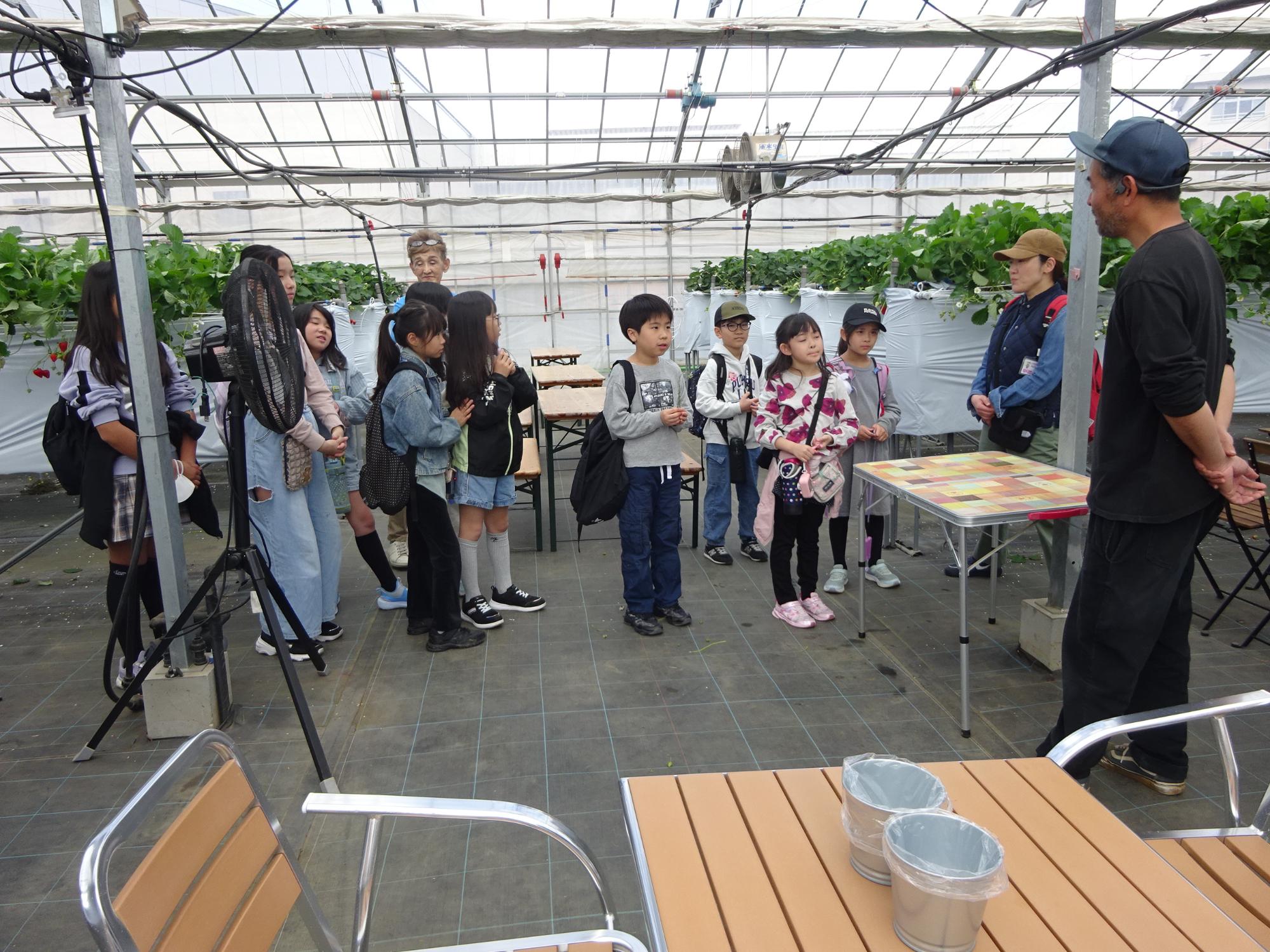 いちご農家へ行って話を聞いている様子