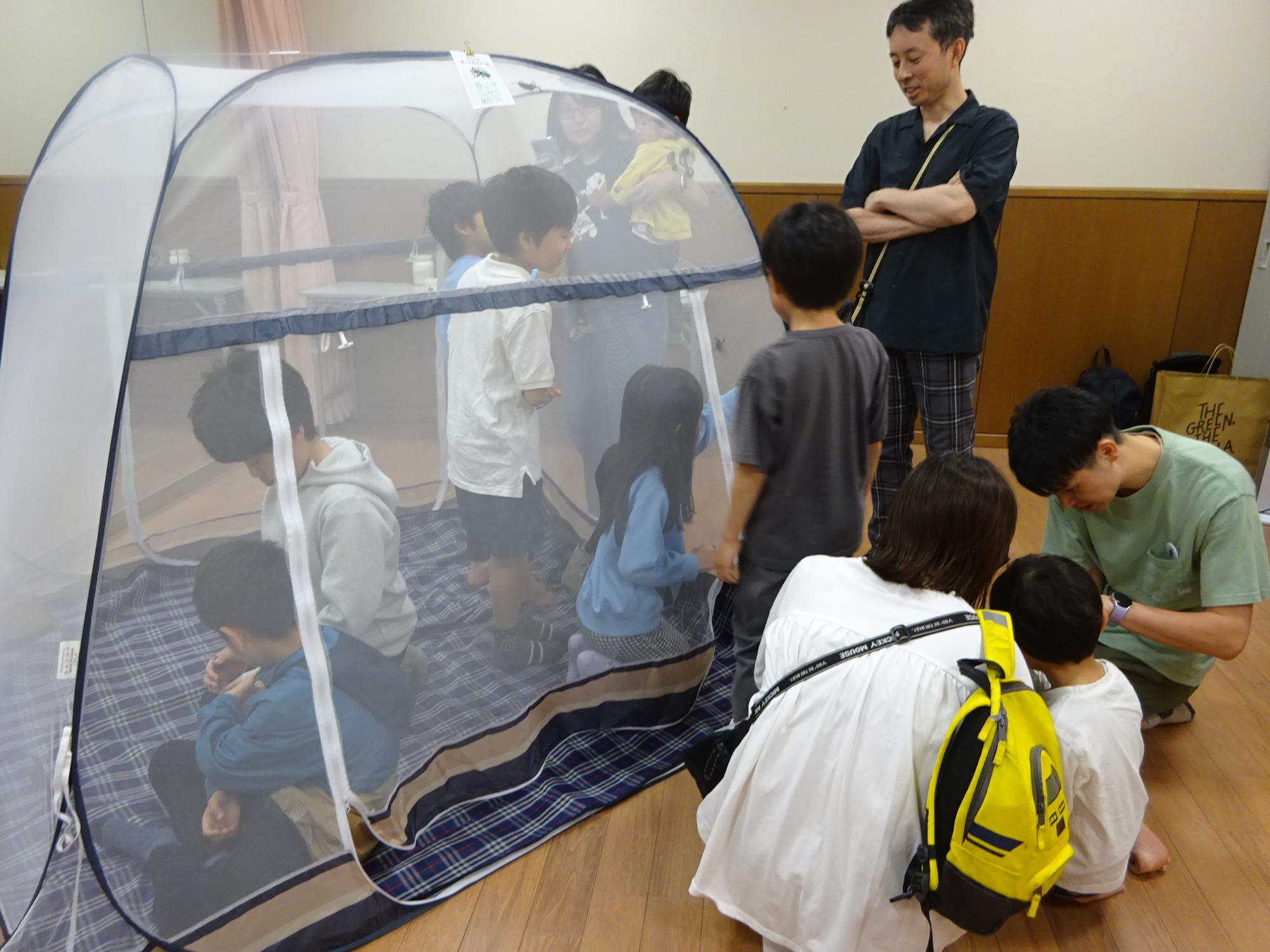 ニジイロクワガタを触っている写真