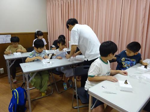 標本を作っている子どもたちと教えている講師の写真