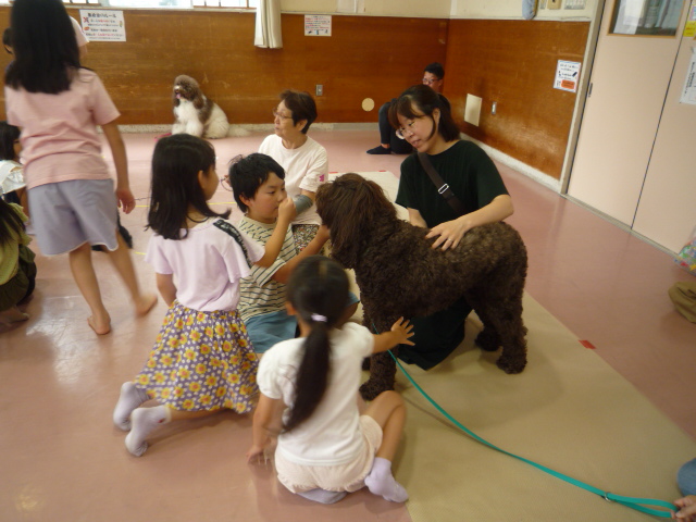 1匹の犬を3人の小学生と1人の保護者が撫でている写真