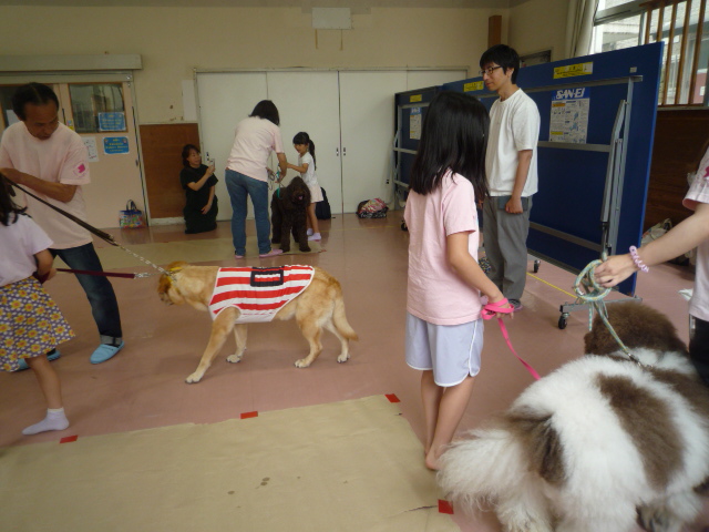 講師の人と一緒にリードを持って犬の散歩体験を3組がしている写真