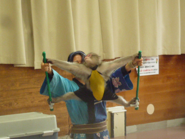 さるまわしの様子の写真1