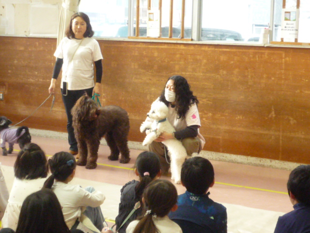 シェアドッグスクールの様子の写真1