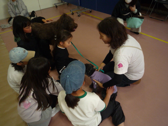 シェアドッグスクールの様子の写真2