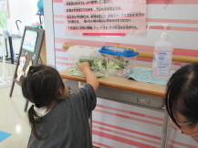 展示された蝶の虫かごに手を伸ばす女の子の写真
