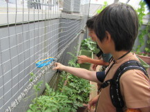虫かごを持った男の子がかごに入った蝶を外に放っている写真