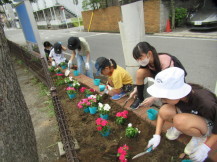 花壇に植えた赤や白の花を植えている子供たちの写真