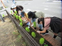 花壇にまだ花のなっていない苗を丁寧に植える子供と大人たちの写真