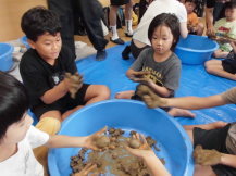 たらいの周りで両手を使い泥団子をまるめている子供たちの写真