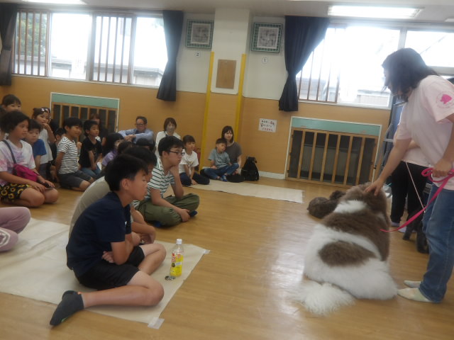 集会室内で犬の説明をする講師と聞く小学生達の写真