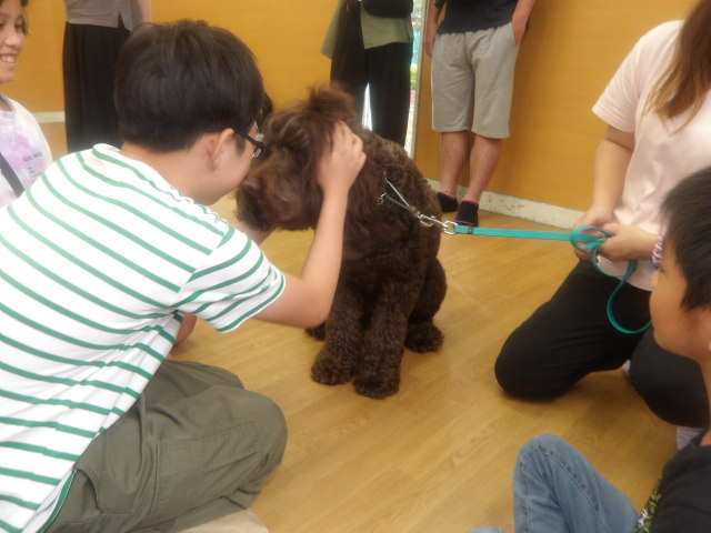 犬の頭をなでながら触れ合う小学生の写真