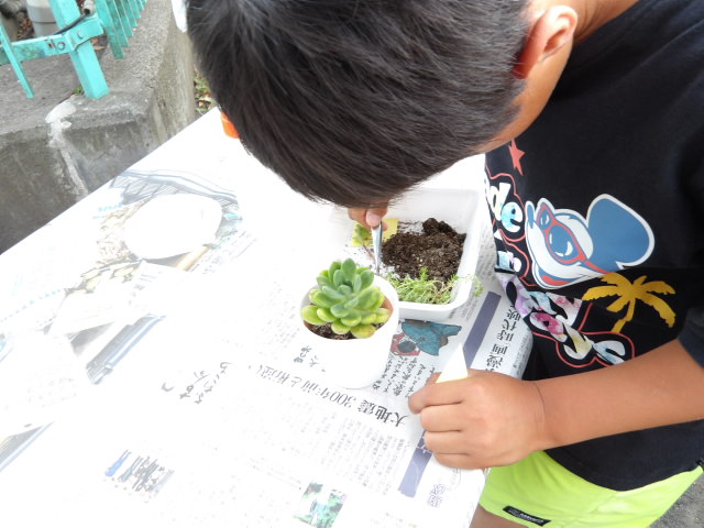 多肉植物を鉢に植える児童の写真