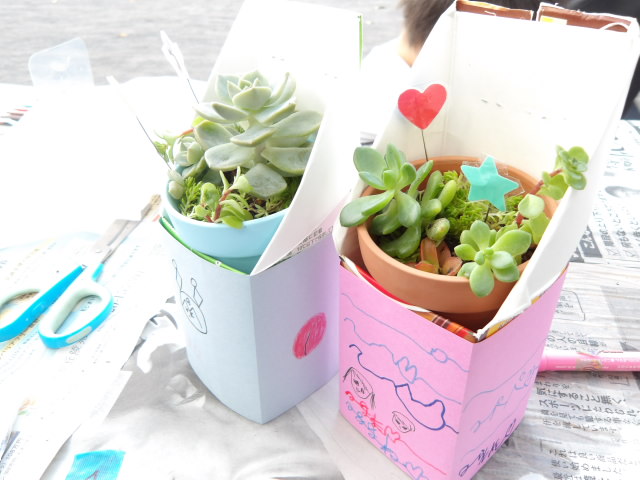 寄せ植え鉢の完成