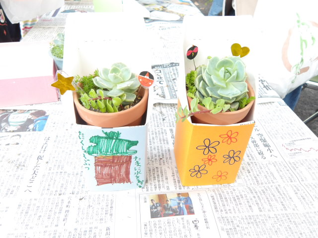 完成した2つの寄せ植え鉢の写真