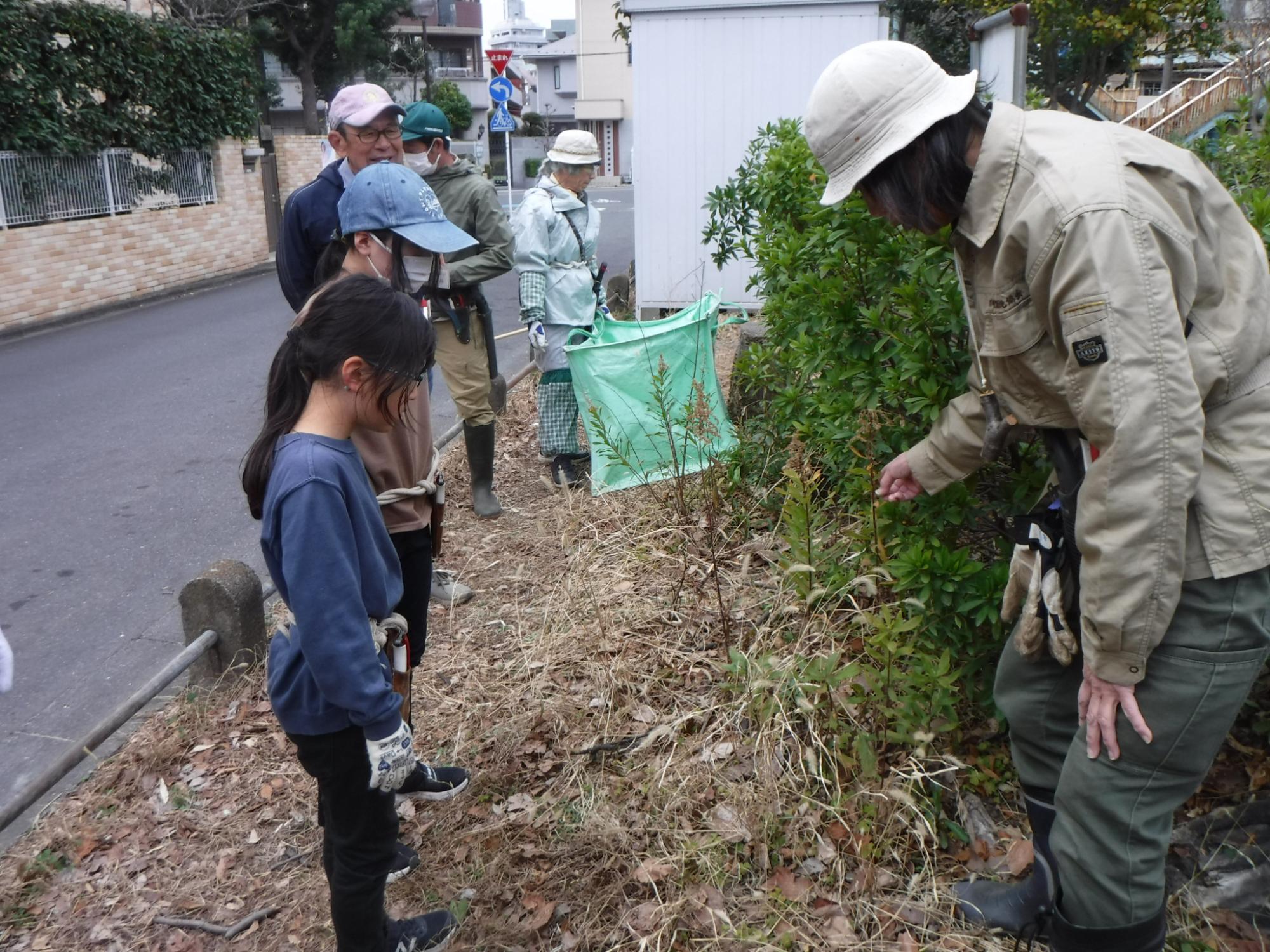 植込みを清掃する写真