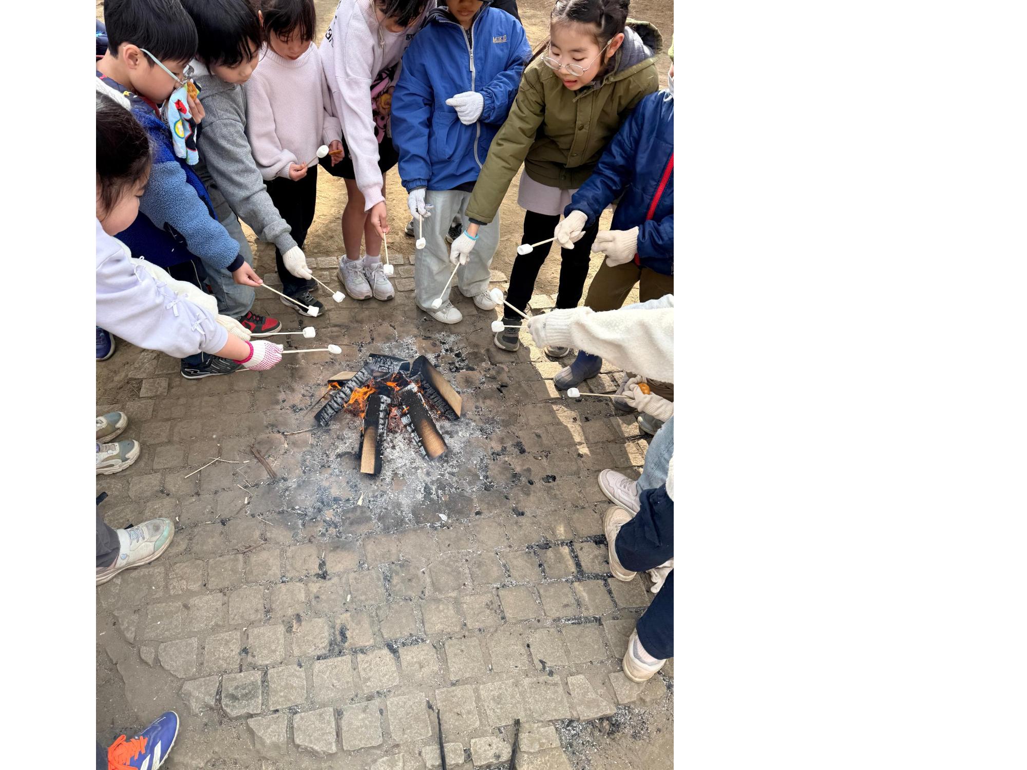 串にマシュマロをさして焚き火で焼く子どもたち