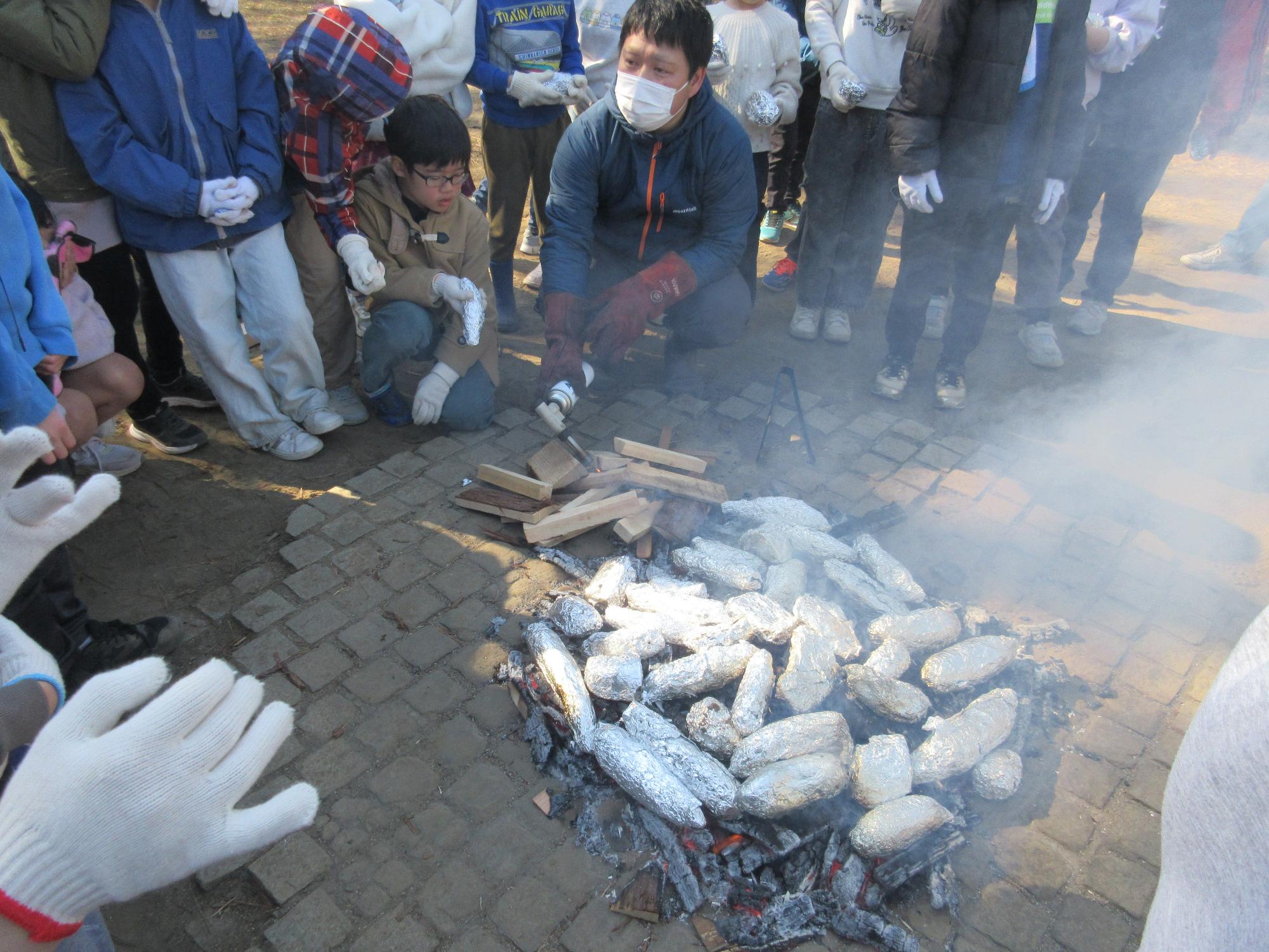 たくさんのアルミ箔に包まれたさつまいもを焚き火に並べた様子