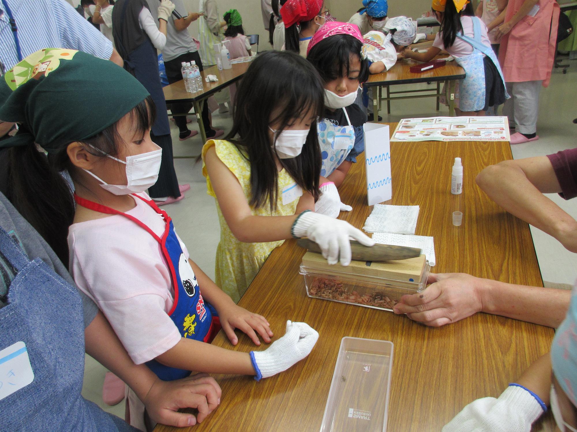 かつおぶし削りをする子どもたちの様子の写真