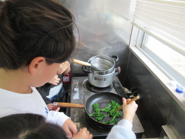 こ文の庭で採れた茎ブロッコリーを茹でた後にフライパンで炒めている子どもたちの様子の写真