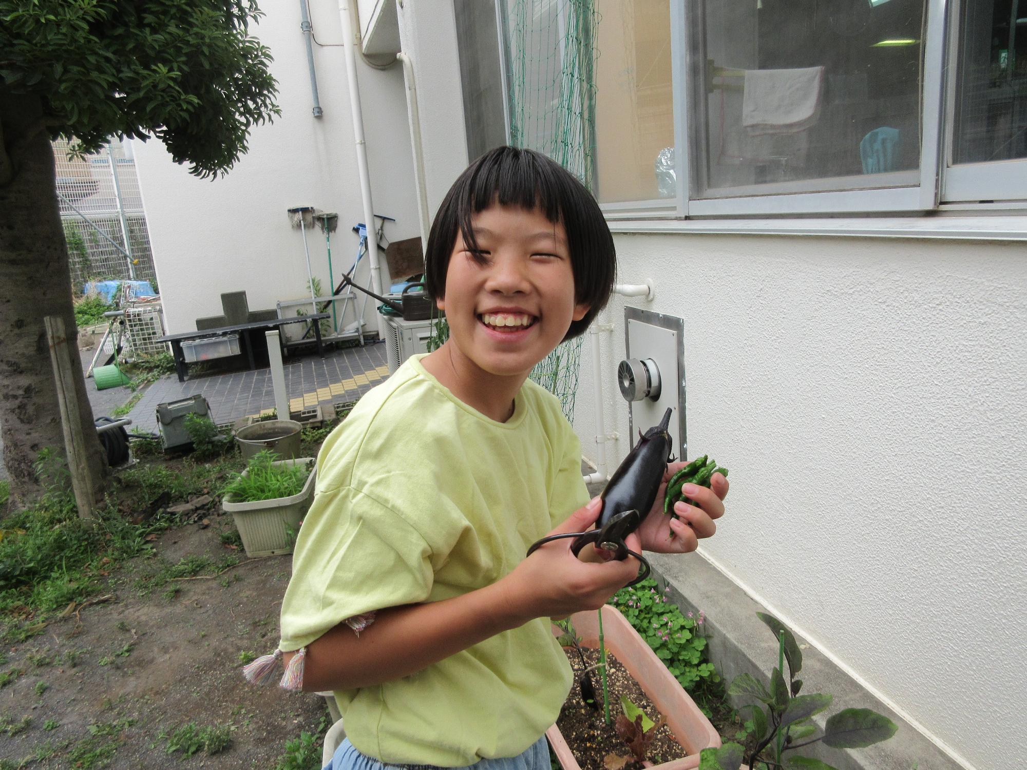 育てたナスとしし唐を収穫して喜ぶ子どもの様子の写真