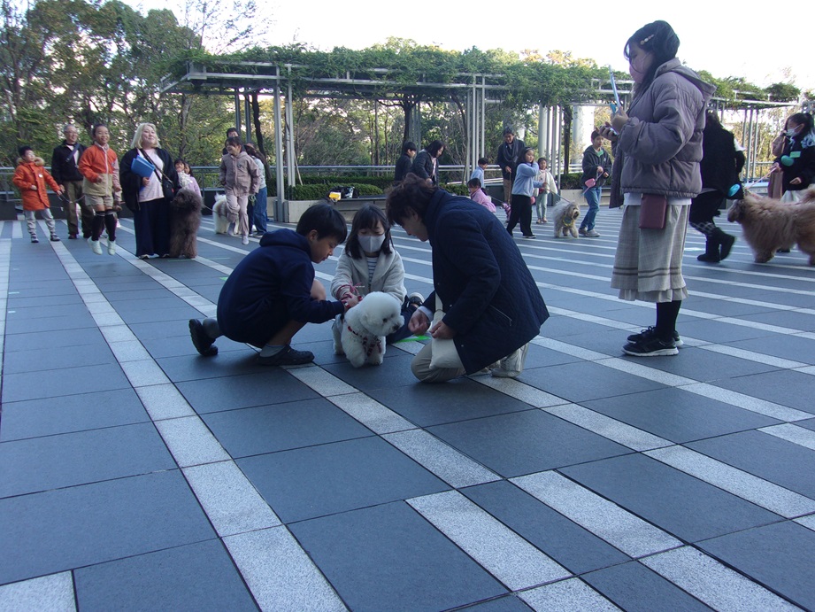 競技中にお座りを指示している写真