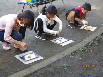 ファイヤースターターで火起こしをしている写真