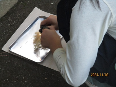 ファイヤースターターで火起こしをしている写真2