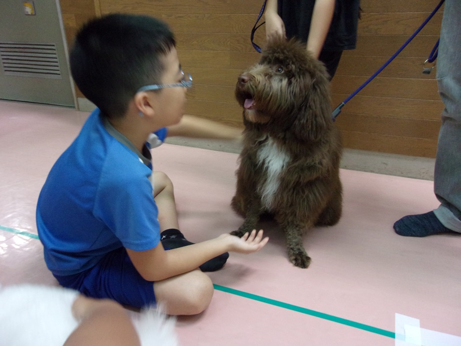 犬にお手を指示している写真