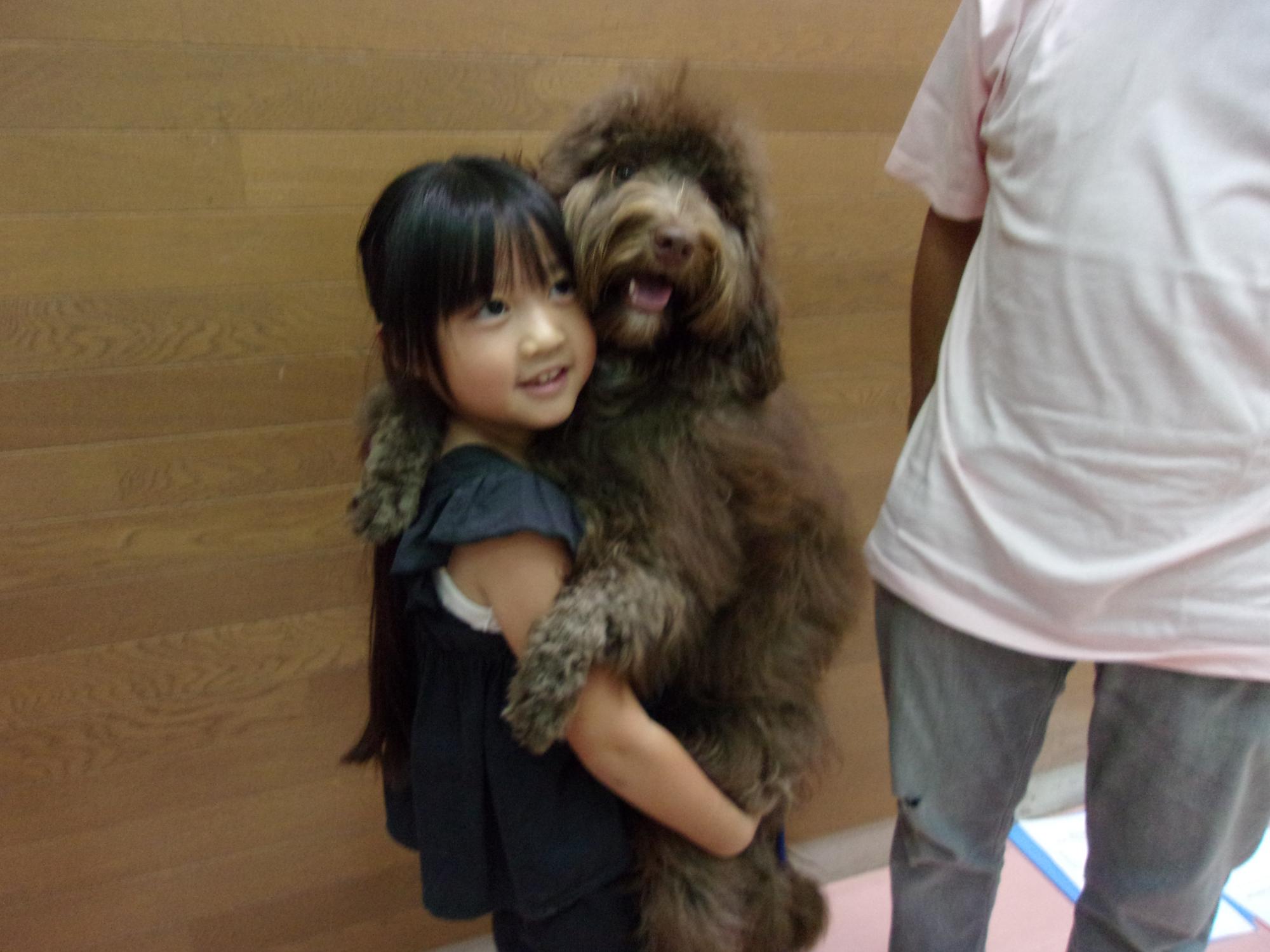 犬を抱っこしている写真