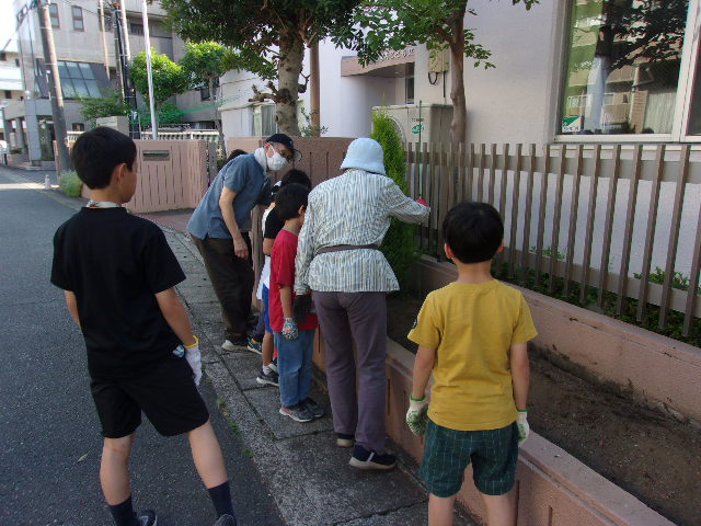 サツマイモの苗を植えている様子
