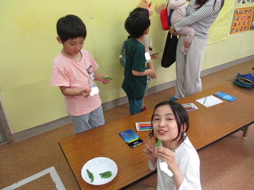 収穫したスナップエンドウを茹でて喫食している写真