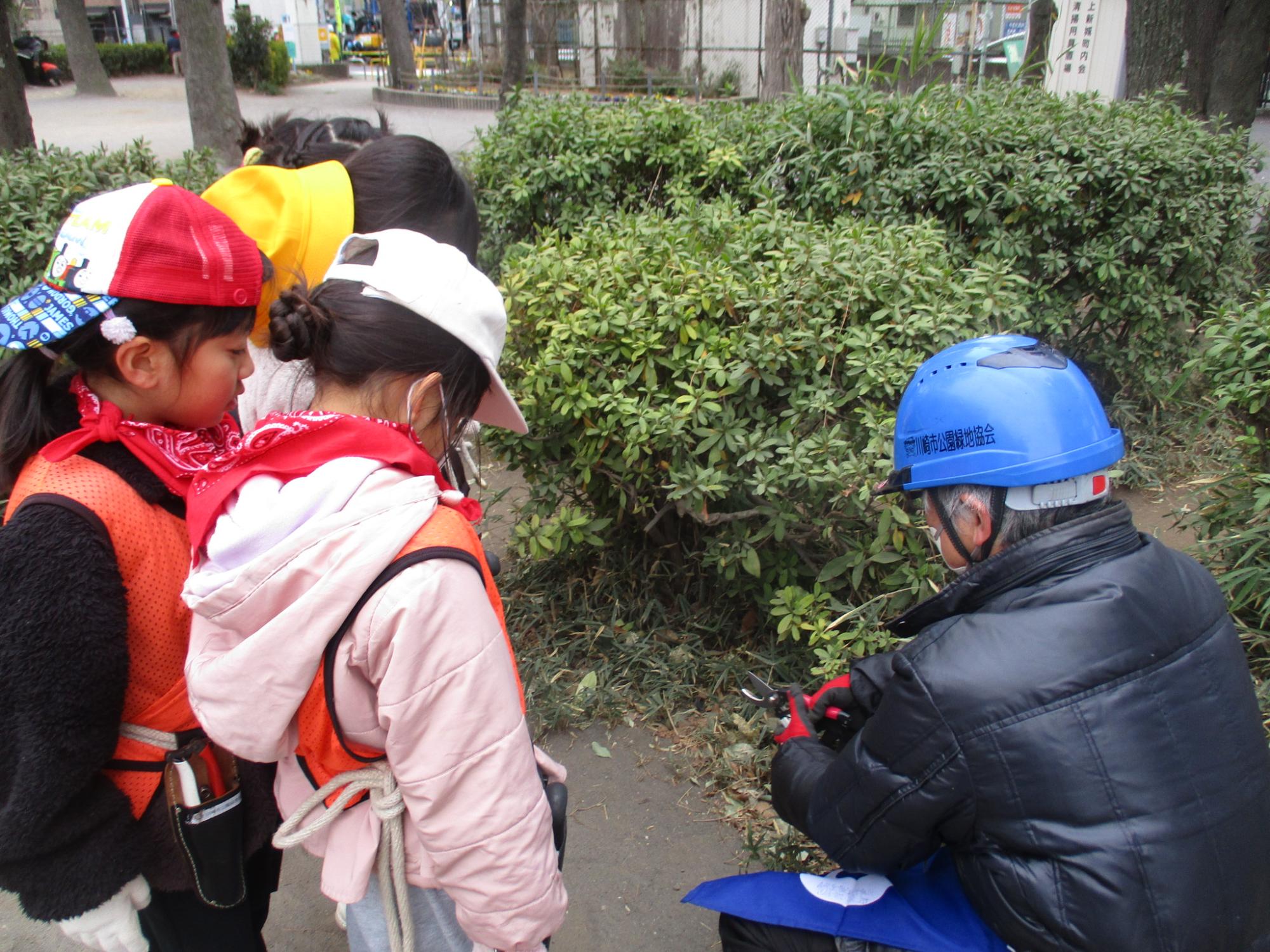 枝切ばさみの使い方を教わっている写真