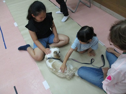 犬と触れ合っている写真