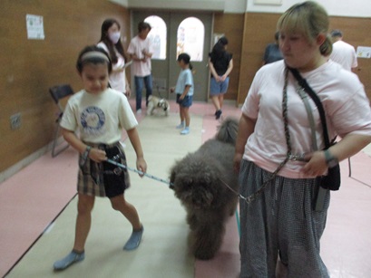 散歩の練習をしている写真2