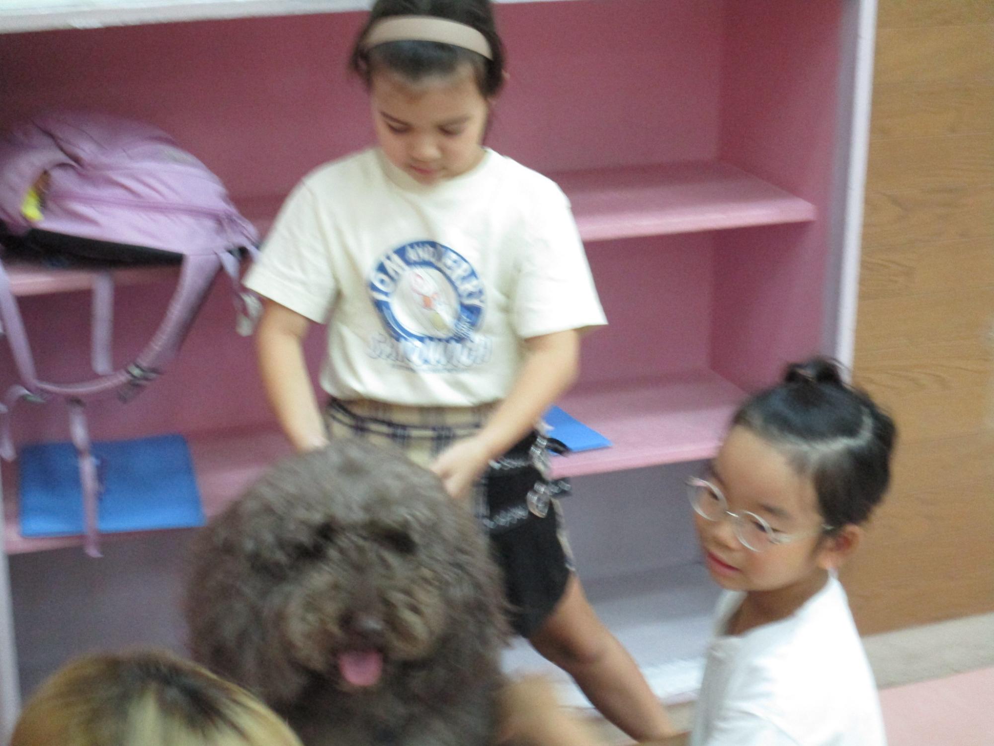 犬と触れ合っている写真2