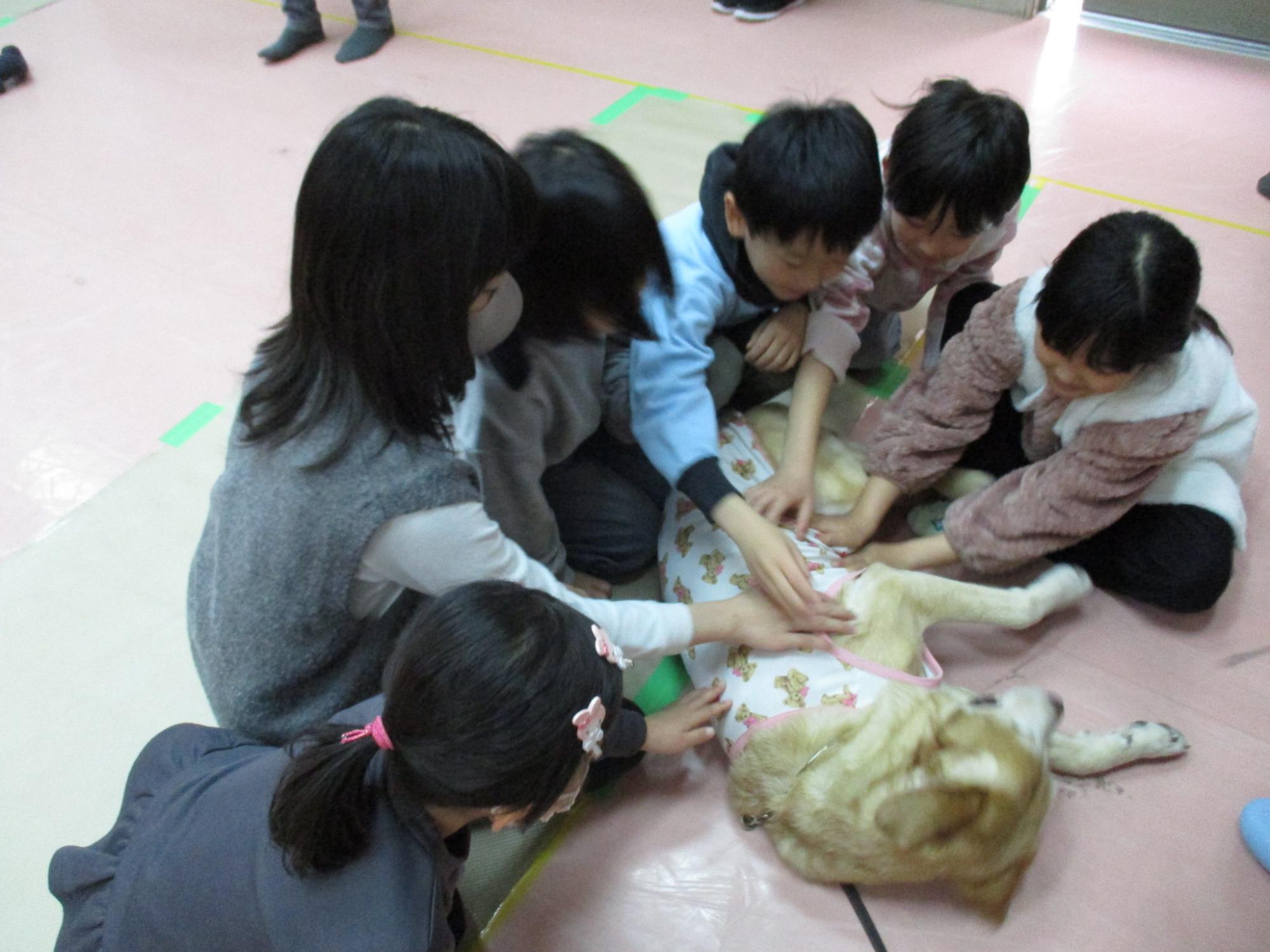 犬をさわらせてもらっている様子