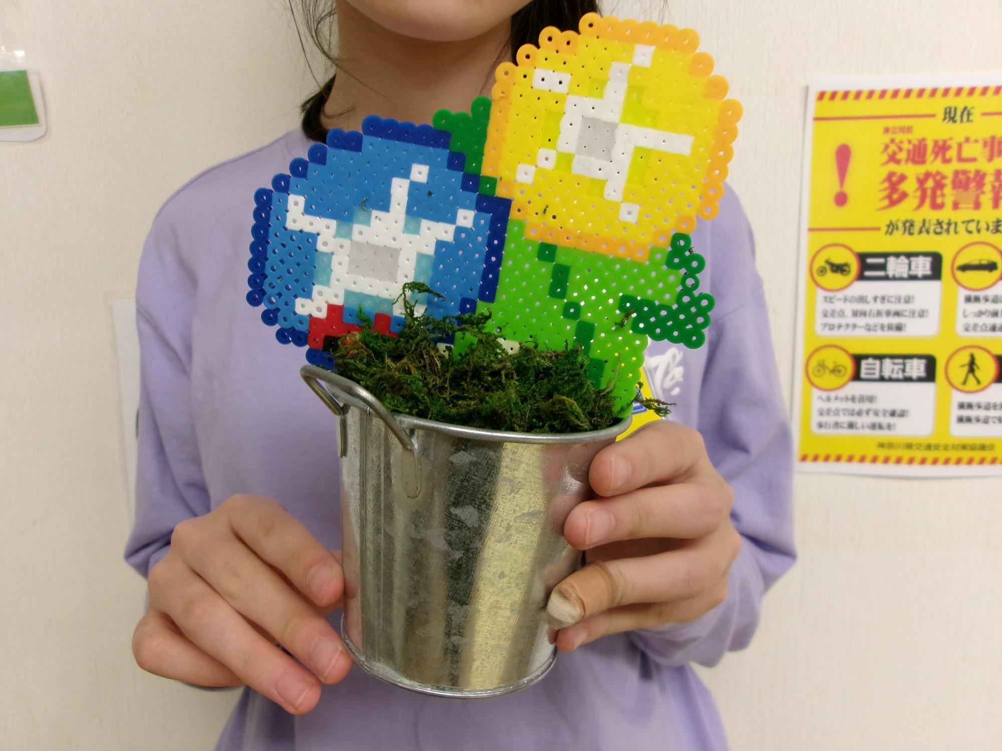 青と黄色の朝顔を作った子どもの写真