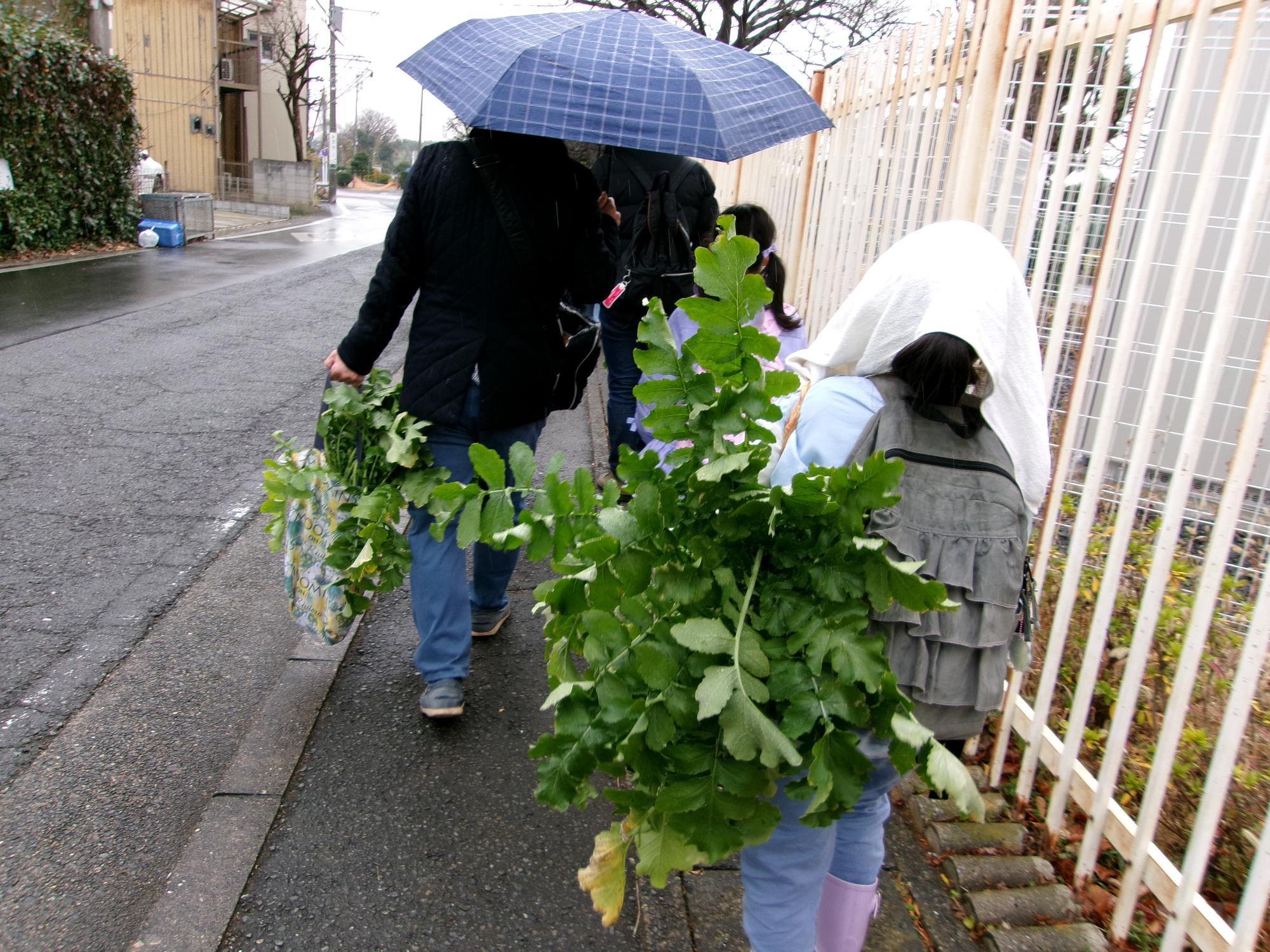 ぬいた大根を持ってこども文化センターに帰っている時の写真