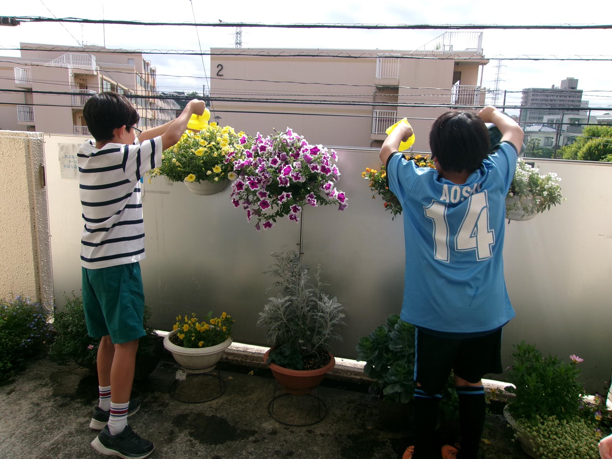 子どもたちが花に水をあげている写真