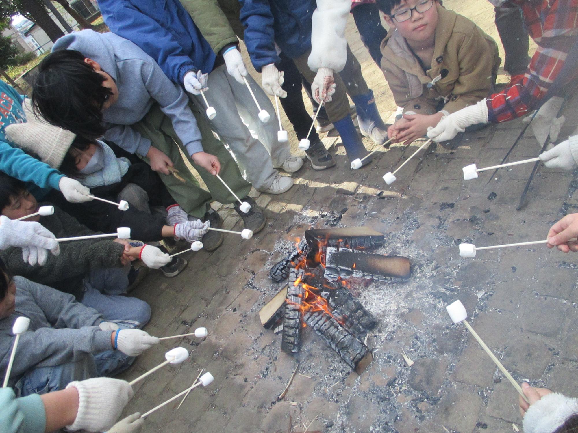 焚き火でマシュマロを焼いている写真
