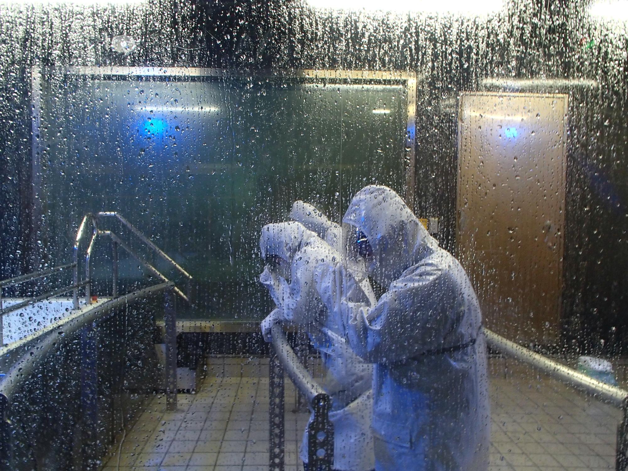 暴風雨を体験している写真