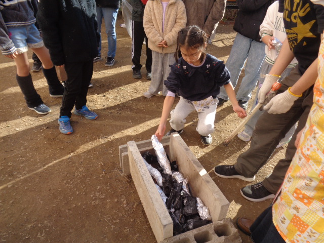 芋を炭の中に入れている様子