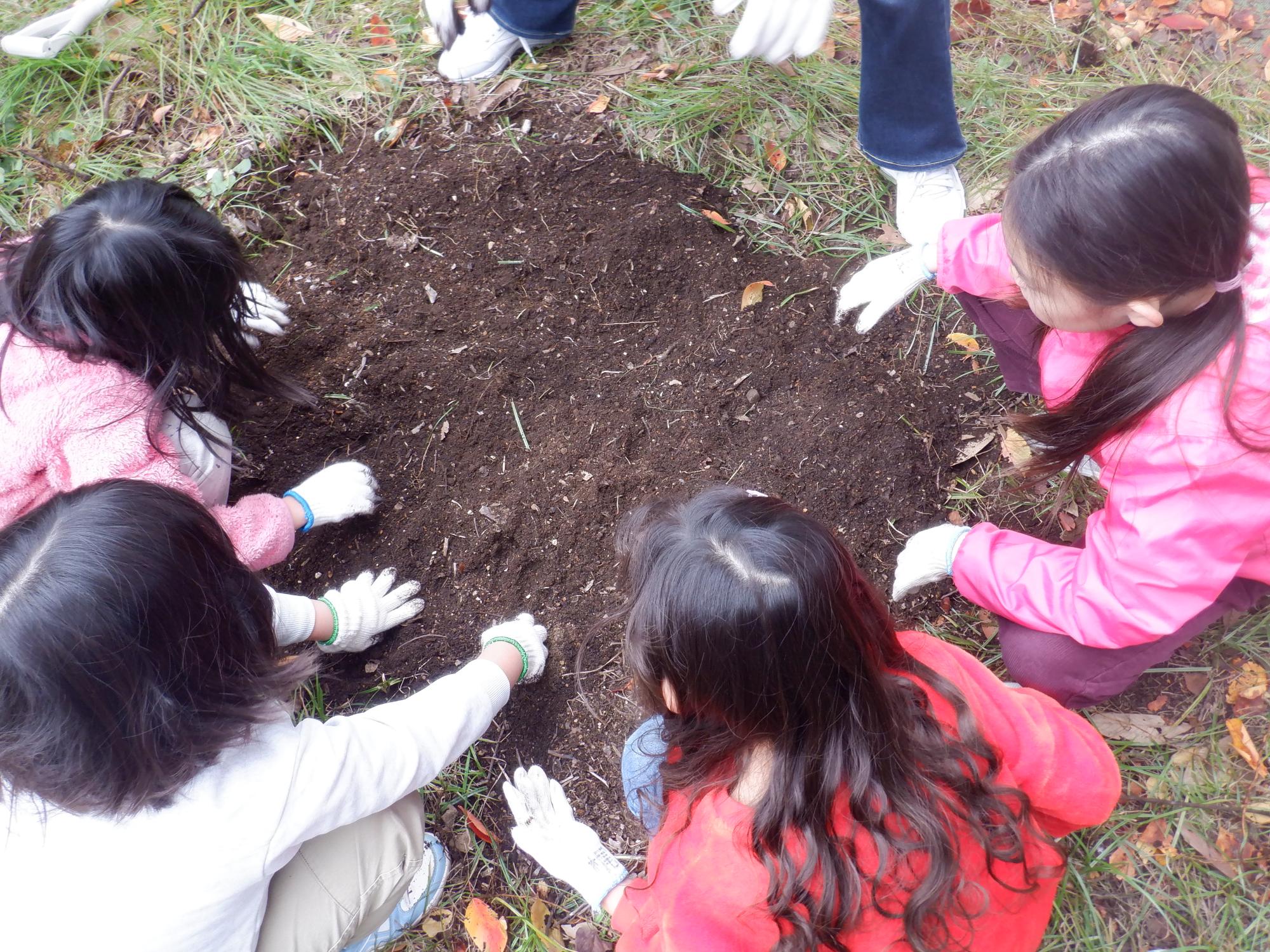 土の中から不要物を取り除いている様子