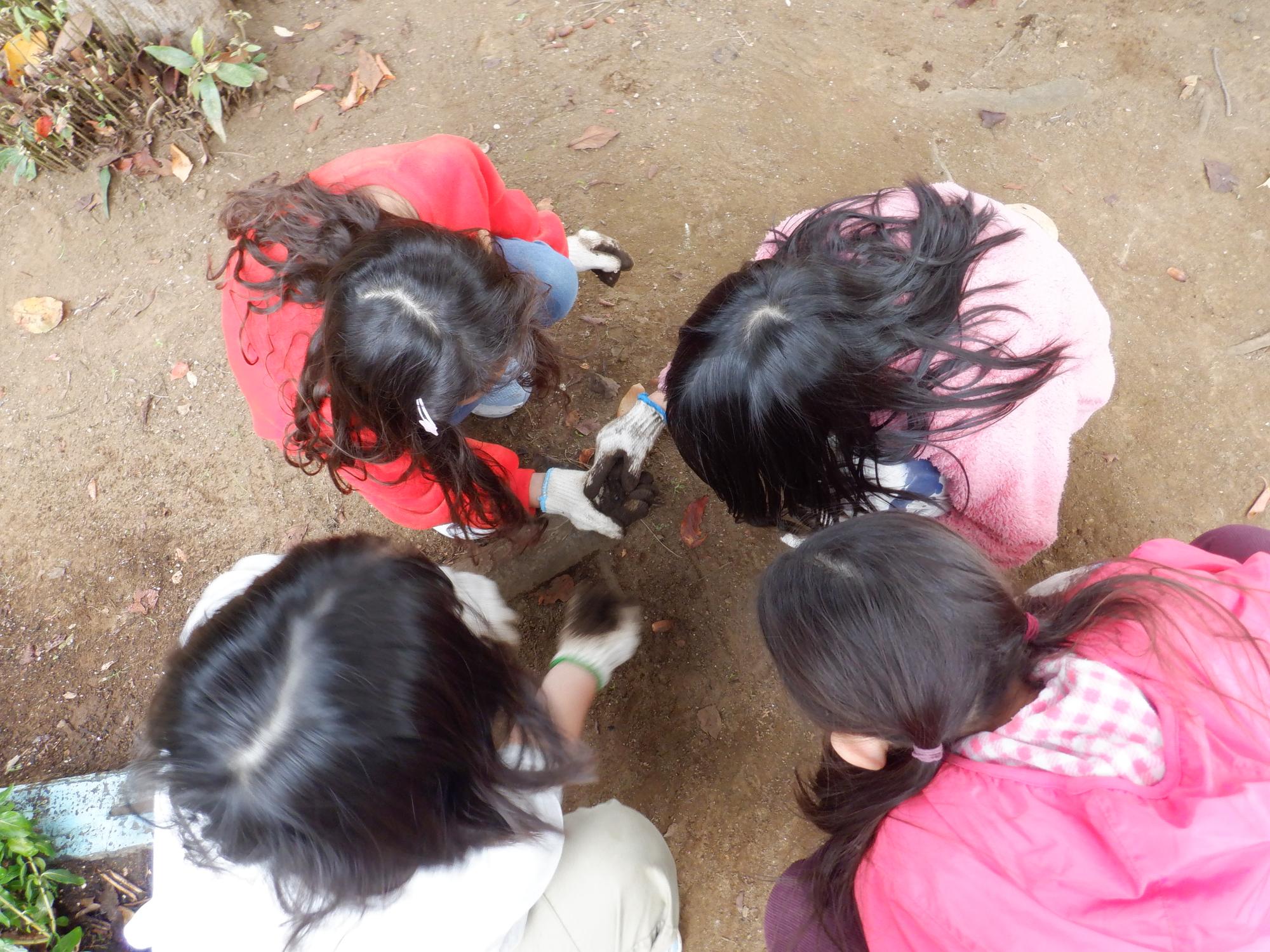 ダンゴムシを見つけて遊んでいる様子