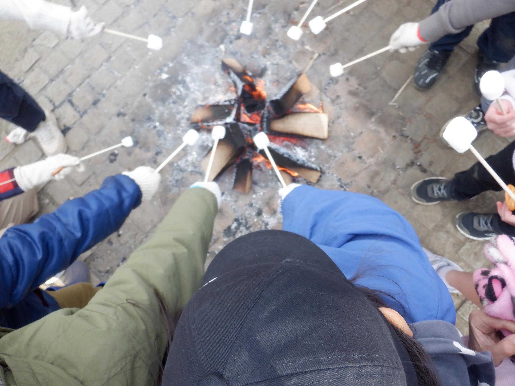 フレンドシップ11