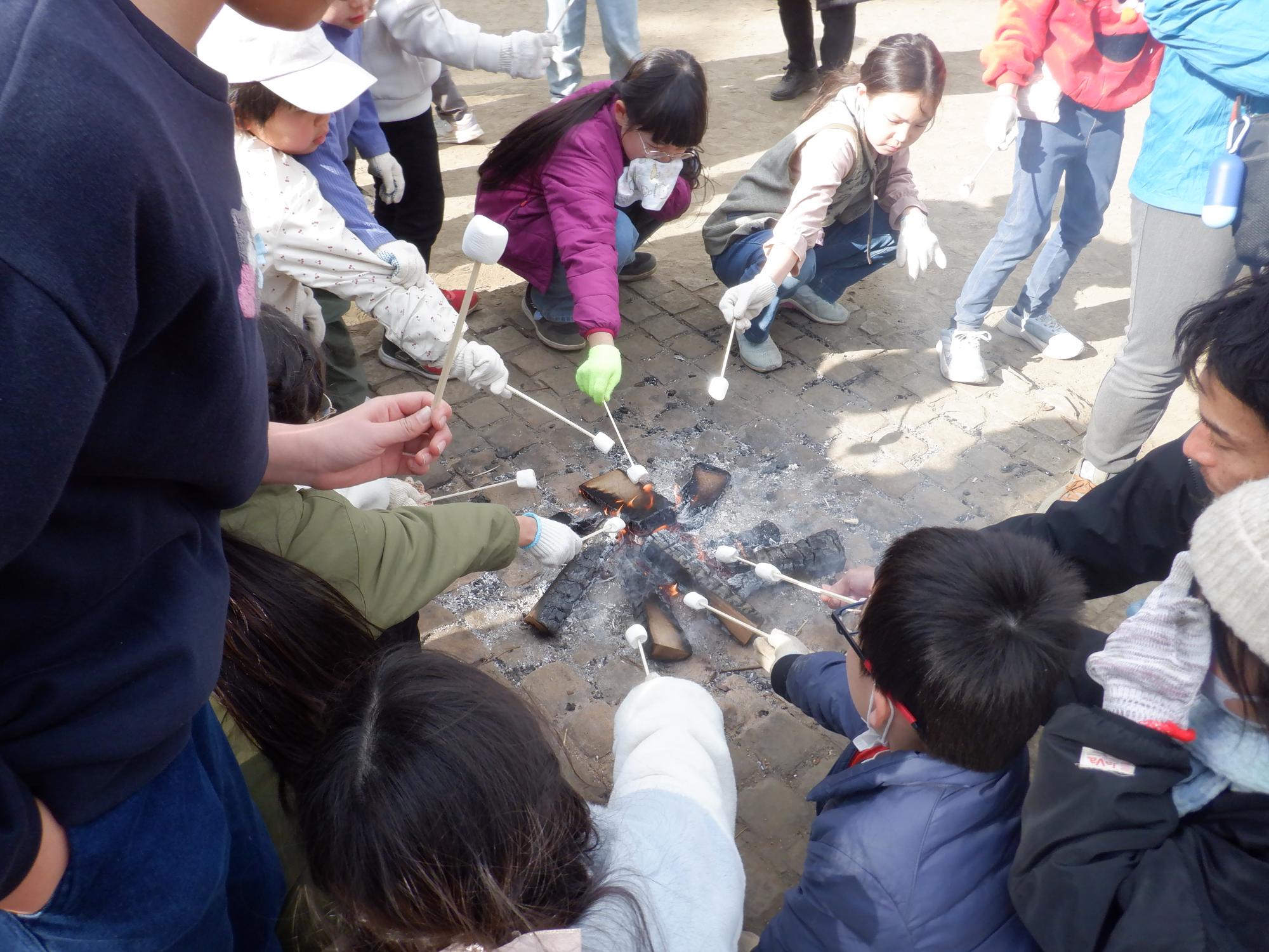 フレンドシップ13