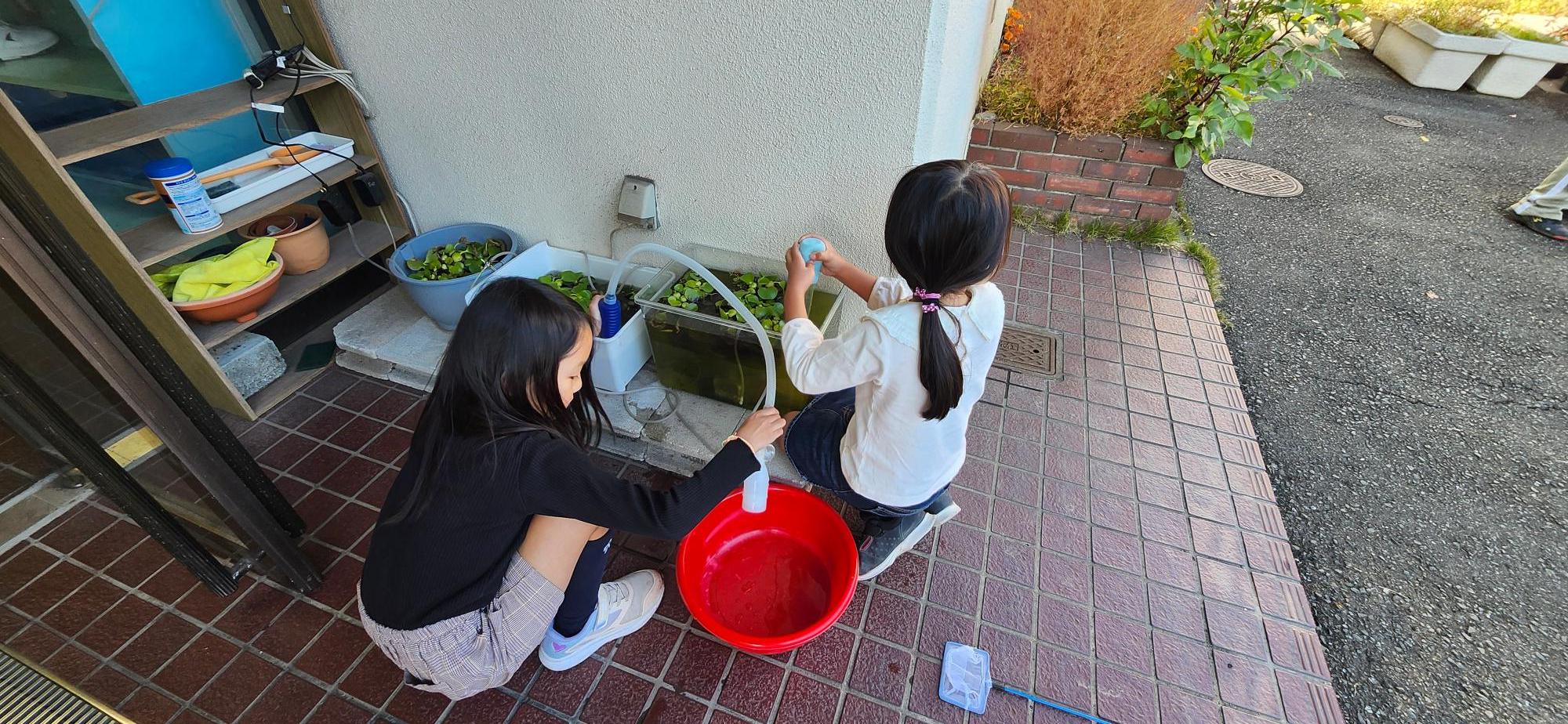 いきものがかり俱楽部