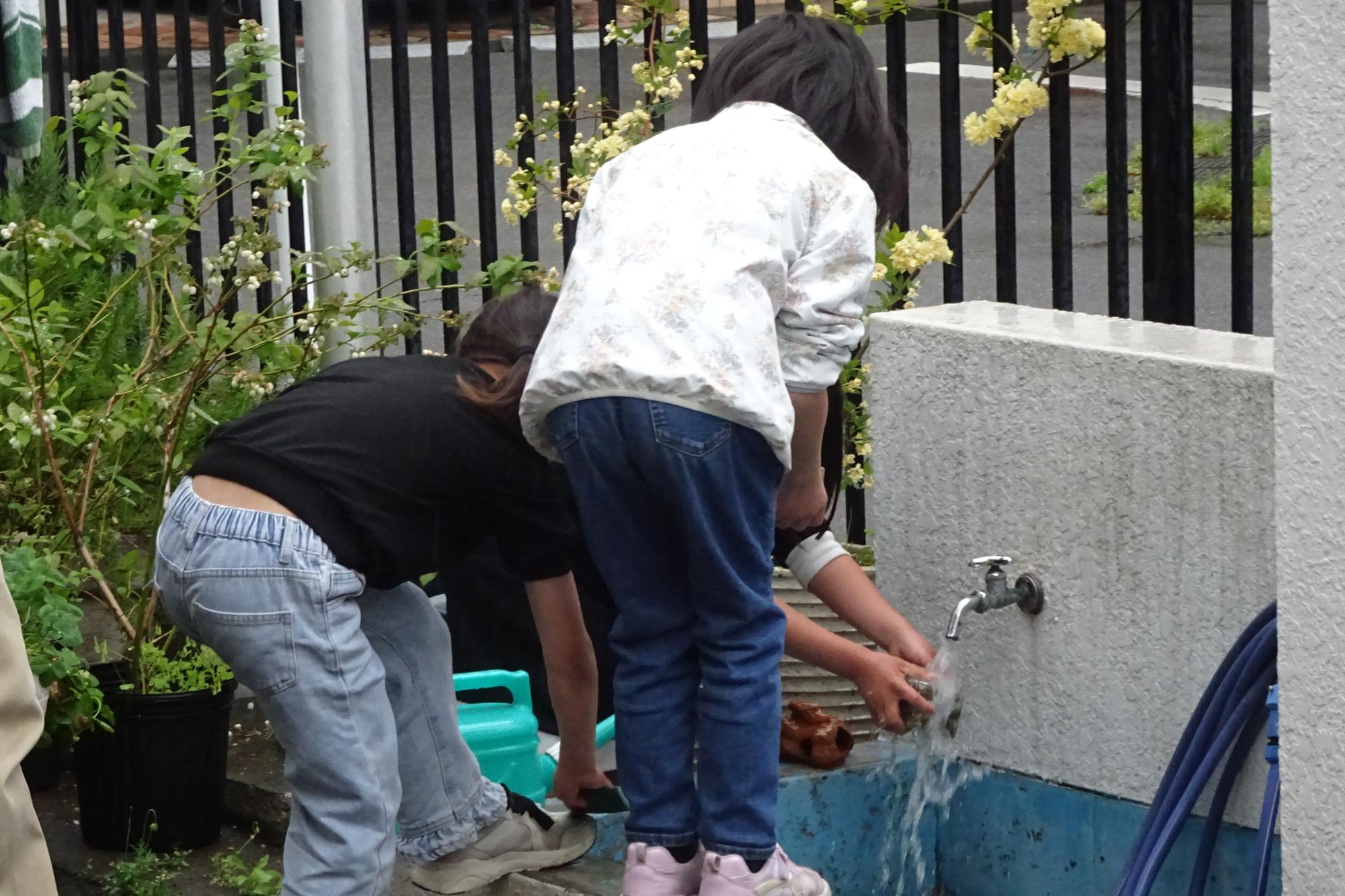 2026年4月_いきものがかりの様子3